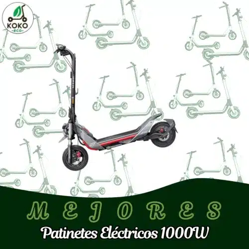 patinetes electricos 1000w